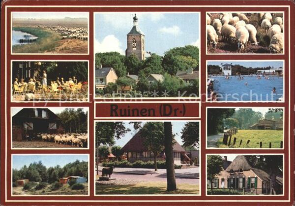 Ruinen Schafherden Camping Kirche Schwimmbad F