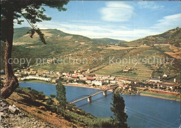 Douro Portugal Regiao do melhor vinho do Porto