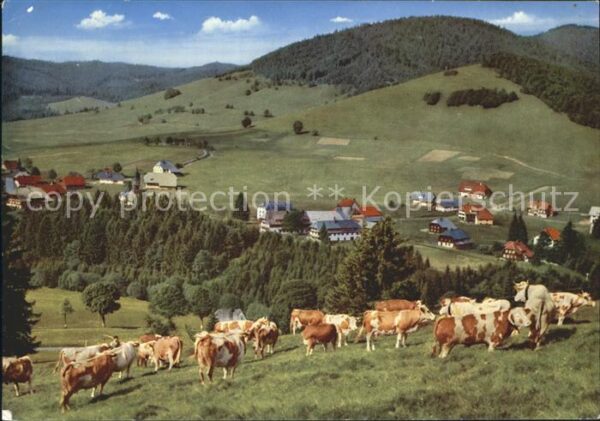 Bernau Schwarzwald