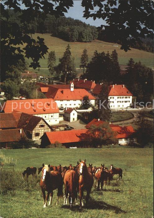 Gomadingen Marbach Pferdegestütt