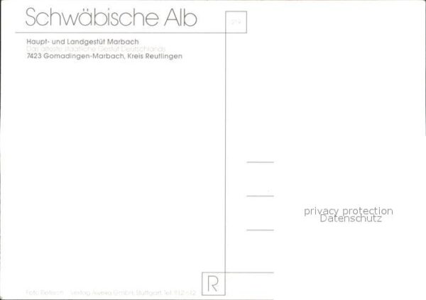 Gomadingen Marbach Pferdegestütt – Bild 2
