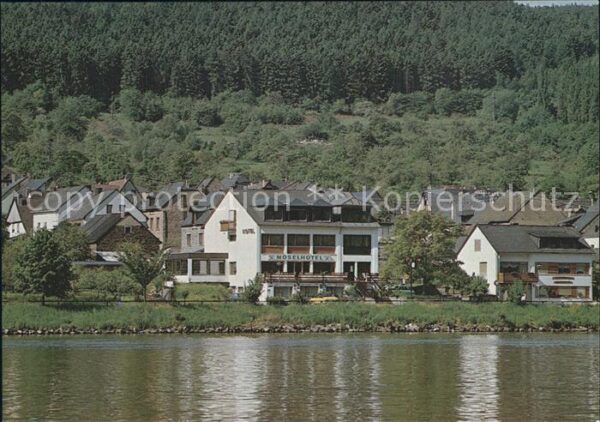 Wehlen Mosel Hotel Mosel