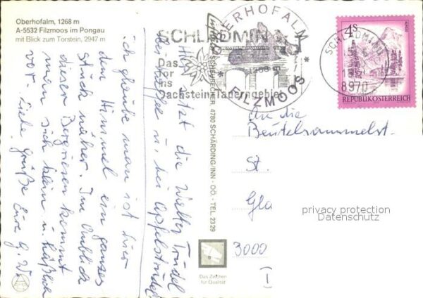Filzmoos Oberhofalm Torstein – Bild 2