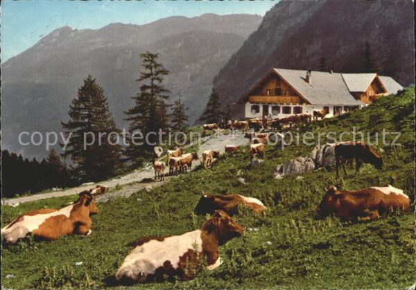 Golling Salzach Jochalm Bluntautal