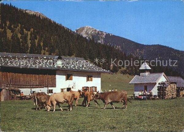 Partenkirchen Esterbergalm