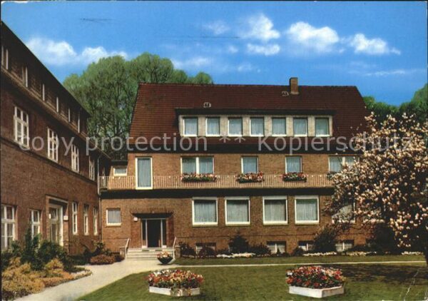 Bad Waldliesborn Haus Carola Baumblüte