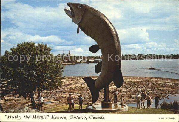 Kenora Husky the Muskie World_s Largest Fish M