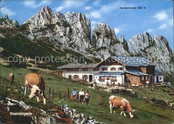 Aschau Chiemgau Steinlingalm Kühe Kampenwand Chiemgauer
