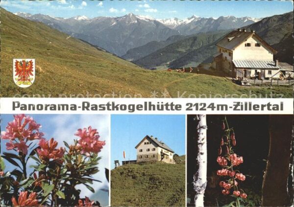 Rastkogelhuette Panorama Zillertal Alpen Alpenflora