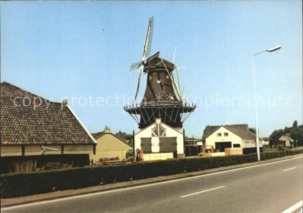 Leiden Molen de Noordman