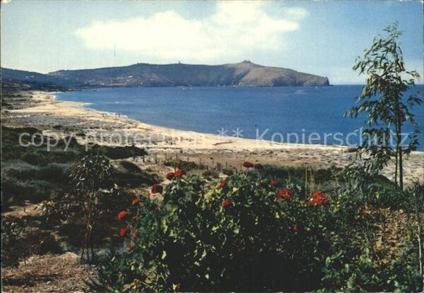 Palinura Punta Capo Strand