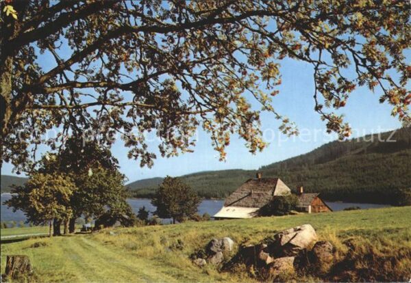 Schwarzwald Haus am See