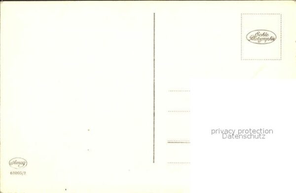 Schwan Schwanenfamilie – Bild 2