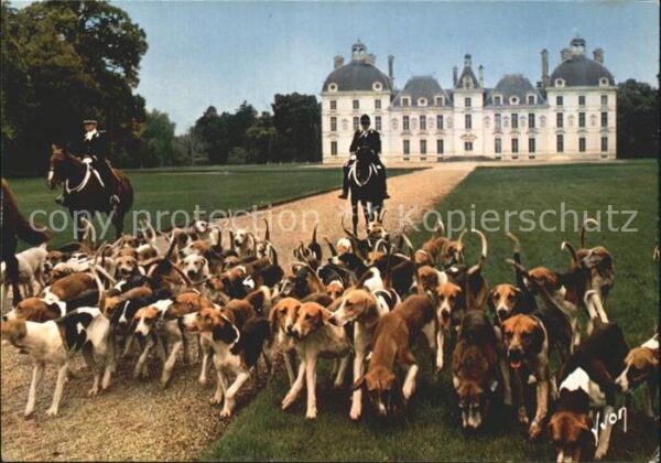 Reitsport Pferdesport Pferderennen Jagdreiten Val de Loire Chateau de Chev