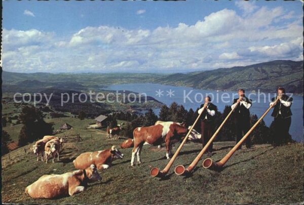 Alphorn Alphorntrio Morgebärg Aeschiried Thuner