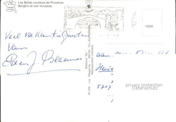 Schafe Bergere France – Bild 2