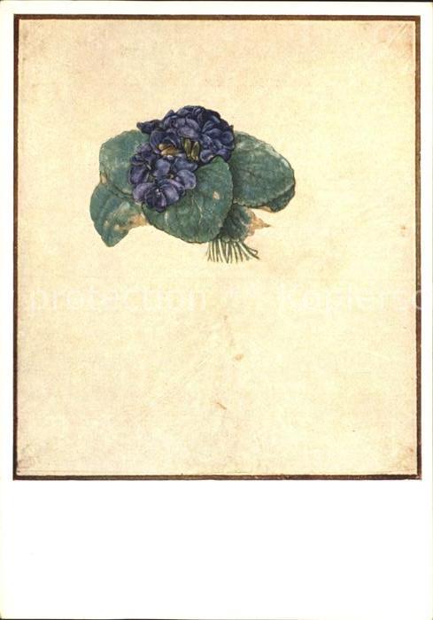 Duerer Albrecht Nuernberg Das Veilchensträusschen