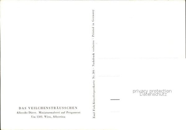 Duerer Albrecht Nuernberg Das Veilchensträusschen – Bild 2