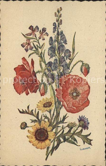 Blumen Künstlerkarte Illburger