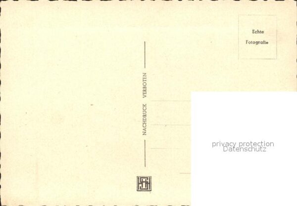 Pferde – Bild 2