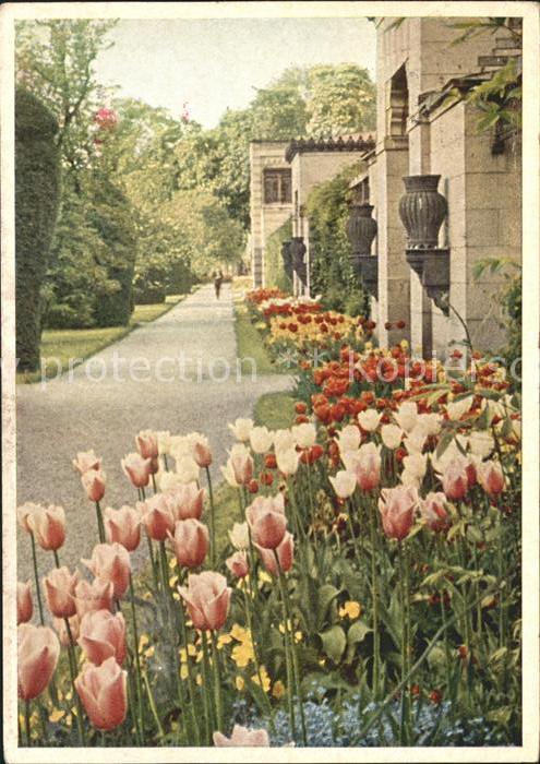 Blumen Wilhelma Wandelgang Stuttgart-Bad Canns