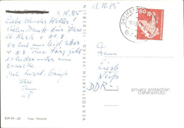 Schafe – Bild 2