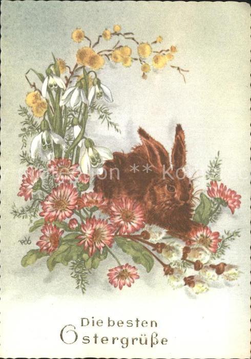 Hasen Ostern Gänseblümchen Schneeglöckchen