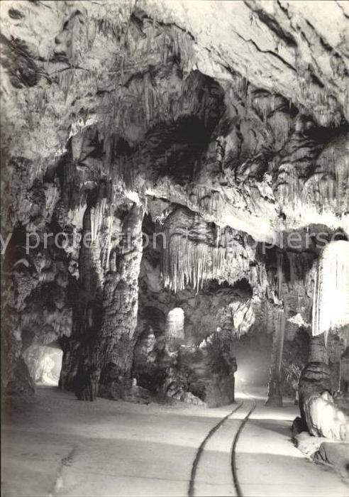 Hoehlen Caves Grottes Postojnska Jama Slovenia Jugoslavia