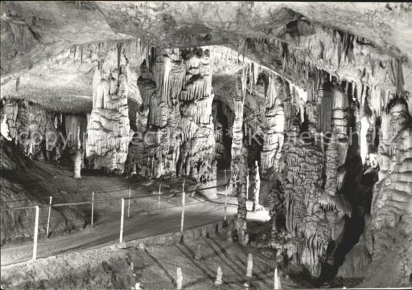 Hoehlen Caves Grottes Postojnska Jama Slovenija Jugoslavija