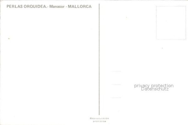 Manacor Perlas Orquidea – Bild 2