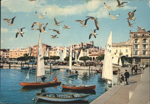 Desenzano Lago di Garda Hafen Möwe Segelboot