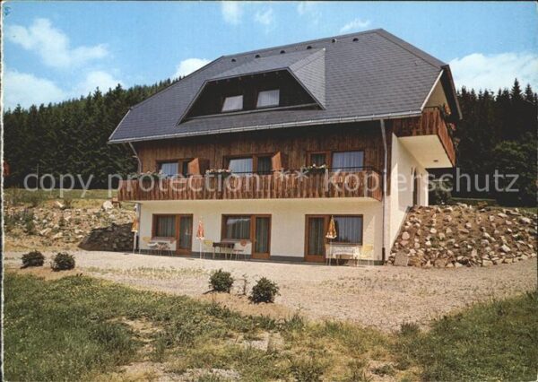 Titisee Gasthaus