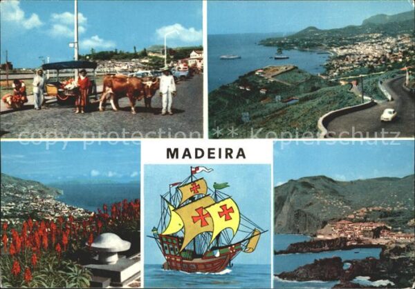 Madeira Portugal Kuh Schiff