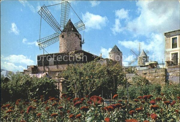 Palma de Mallorca Windmühle Jack el Negro