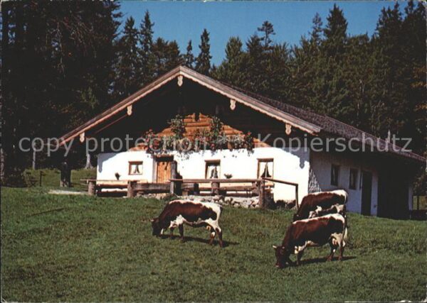 Inzell Reiter Alm Weißbach
