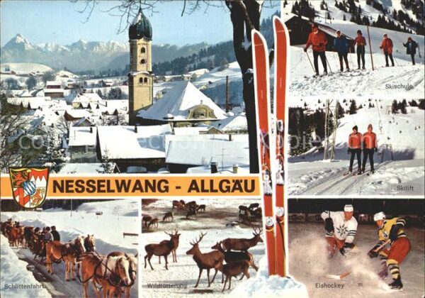 Nesselwang Skigebiet Eishockey Pferdeschlitten Wil
