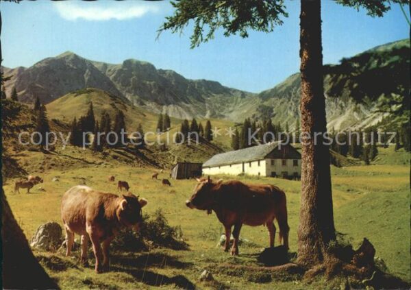 Tannheim Tirol Älple