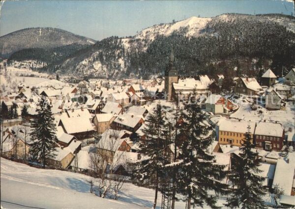 Lautenthal Harz Teilansicht im Winter