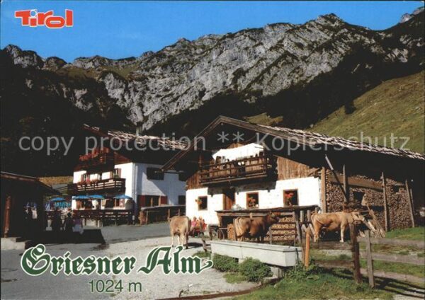 Wilder Kaiser Griesner Alm