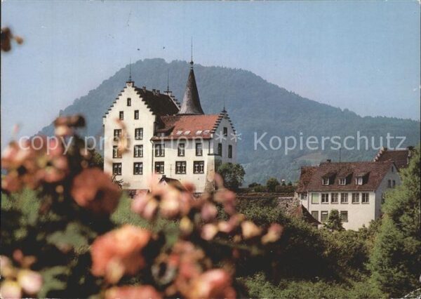 Hohenhewen Hohenhoewen Krekinger Schlössle