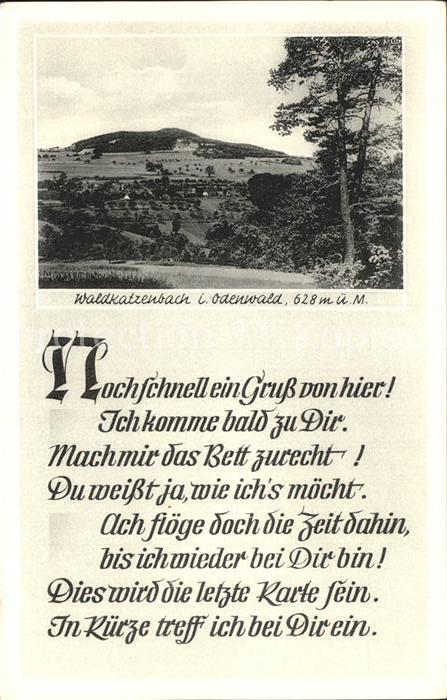 Waldkatzenbach