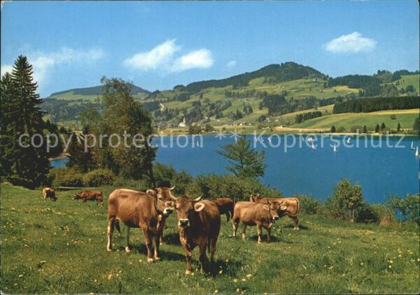 Niedersonthofen mit See und Stoffelberg