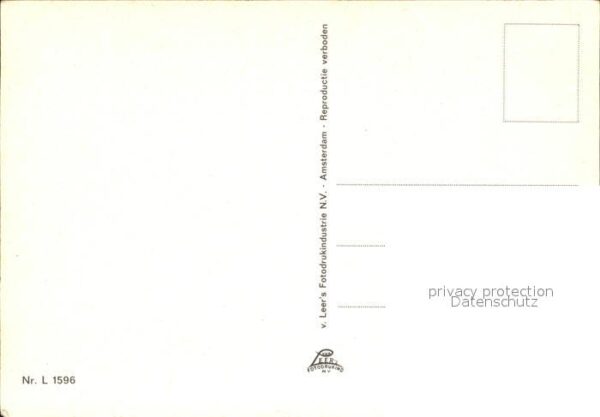 Rijssen mit Schafen – Bild 2