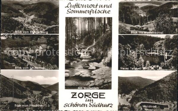 Zorge Panorama Staufenberg Taubental Pferdche