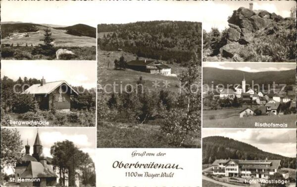 Oberbreitenau Bischofsmais Panorama Bergwachthütte Bischofsmais Ho