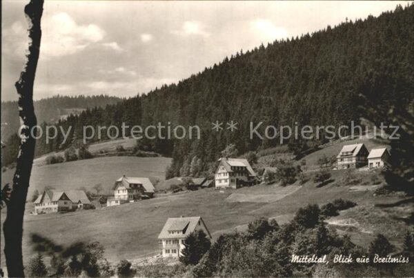 Mitteltal Schwarzwald mit Breitmiss