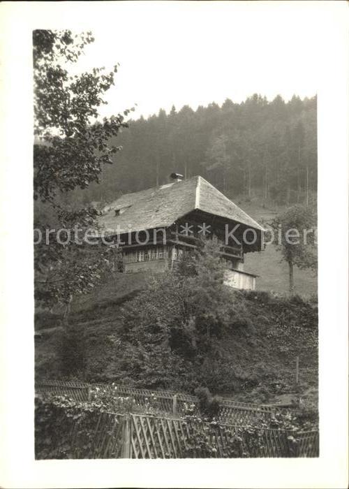 Badenweiler Holzhaus