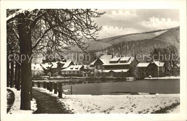Ilsenburg Harz Teilansicht