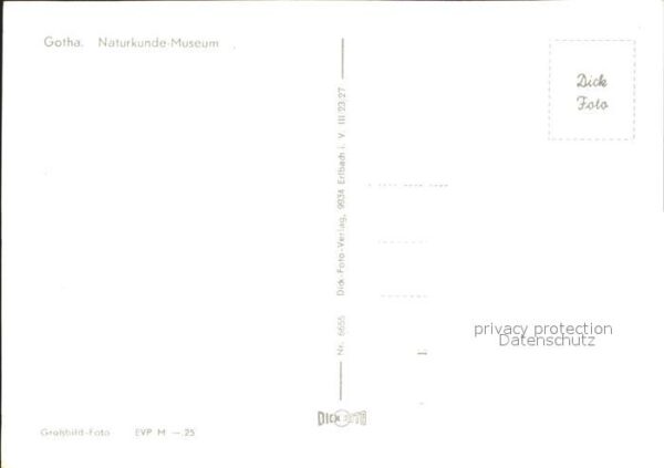 Gotha Thueringen Naturkunde Museum – Bild 2