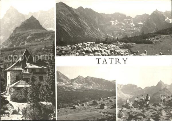 Tatry Wysokie Hala Gasienicowa